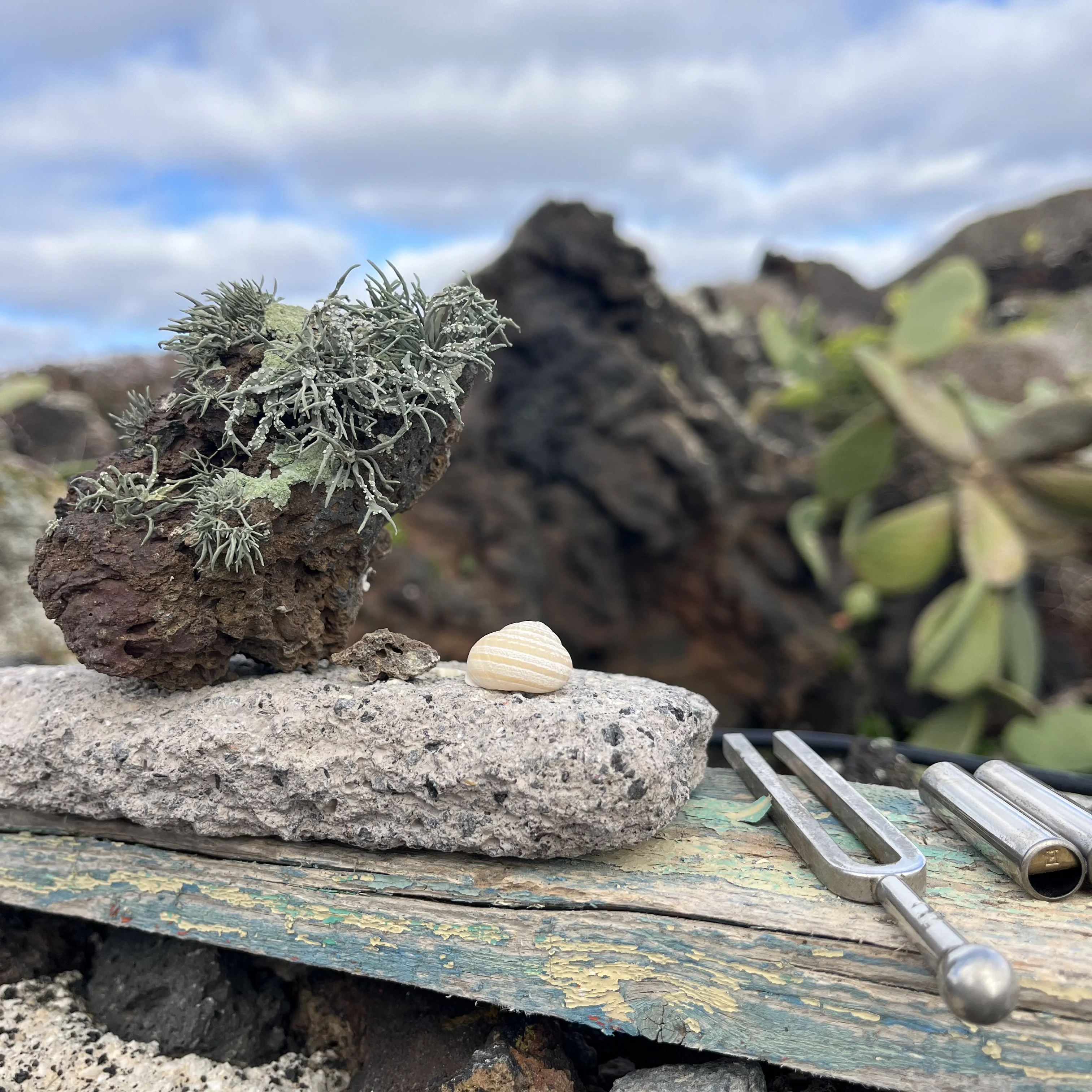 Suonare lo spazio / Suonare il territorio - PIANETA ISOLA